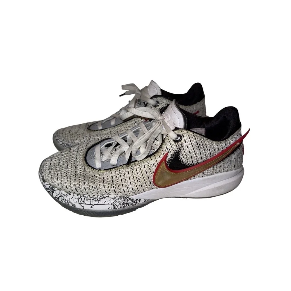 Nike LeBron 20 The Debut 2022 Size 8.5